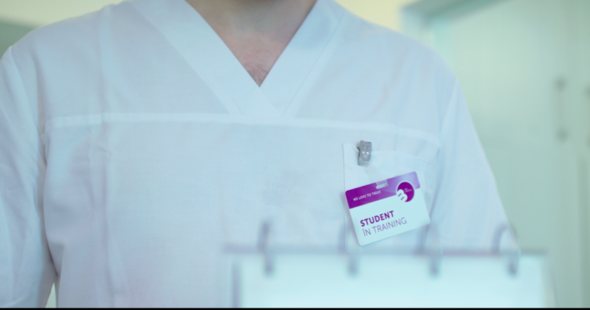 stagii de practica de vara